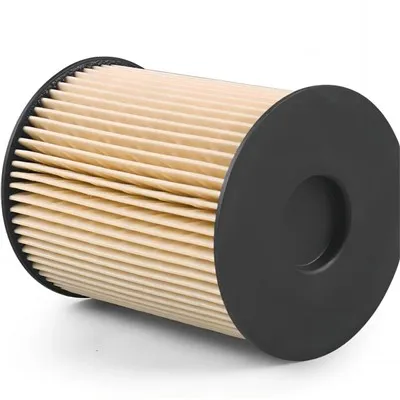 Filter Bahan Bakar 5015581AA